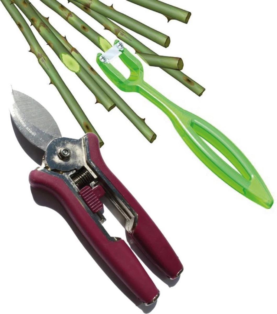 Bloemensnijder & Snoeischaar Kleintje Knip