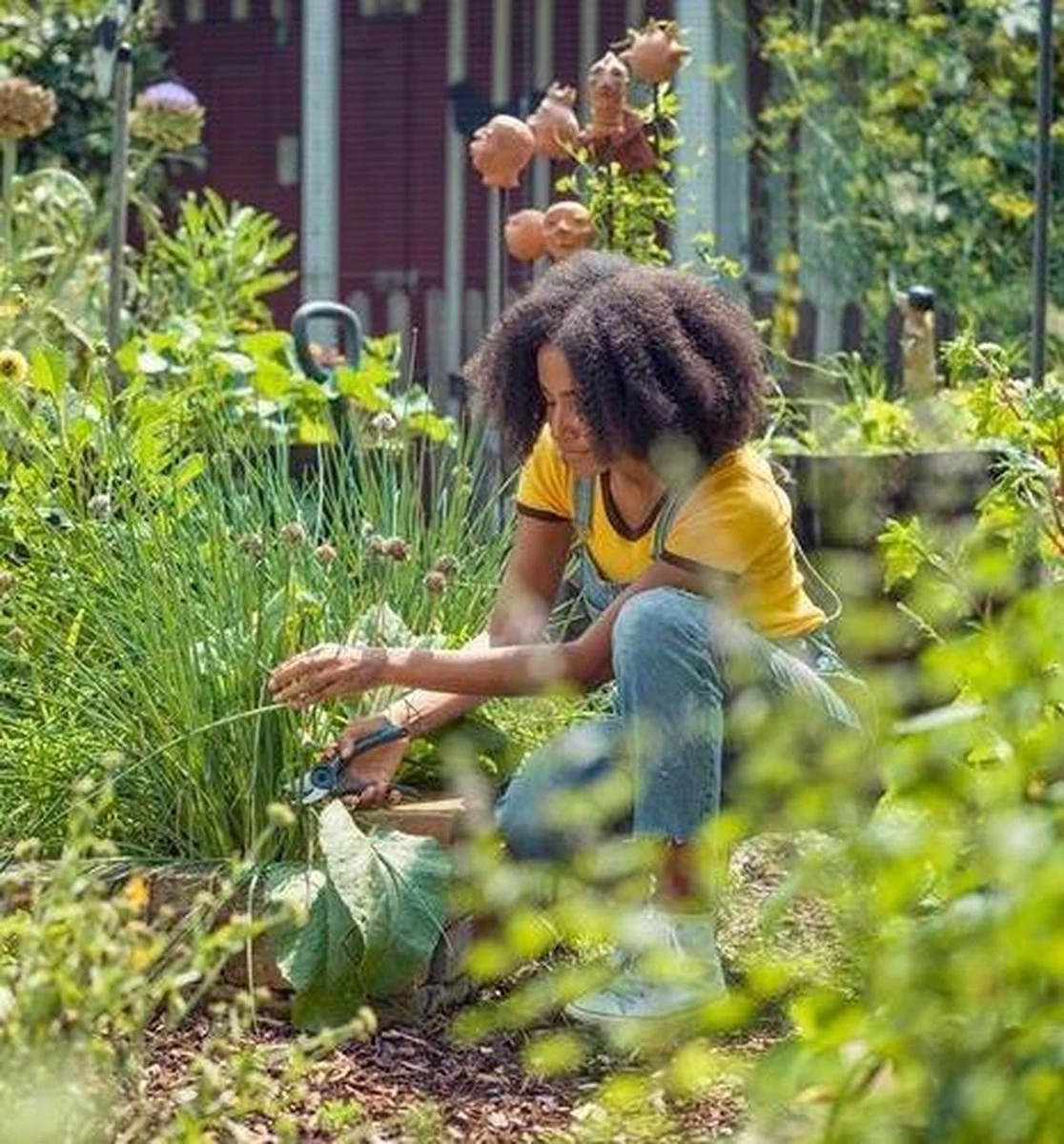 GARDENA - ExpertCut - Snoeischaar - 22 Diameter Tak - Image 14