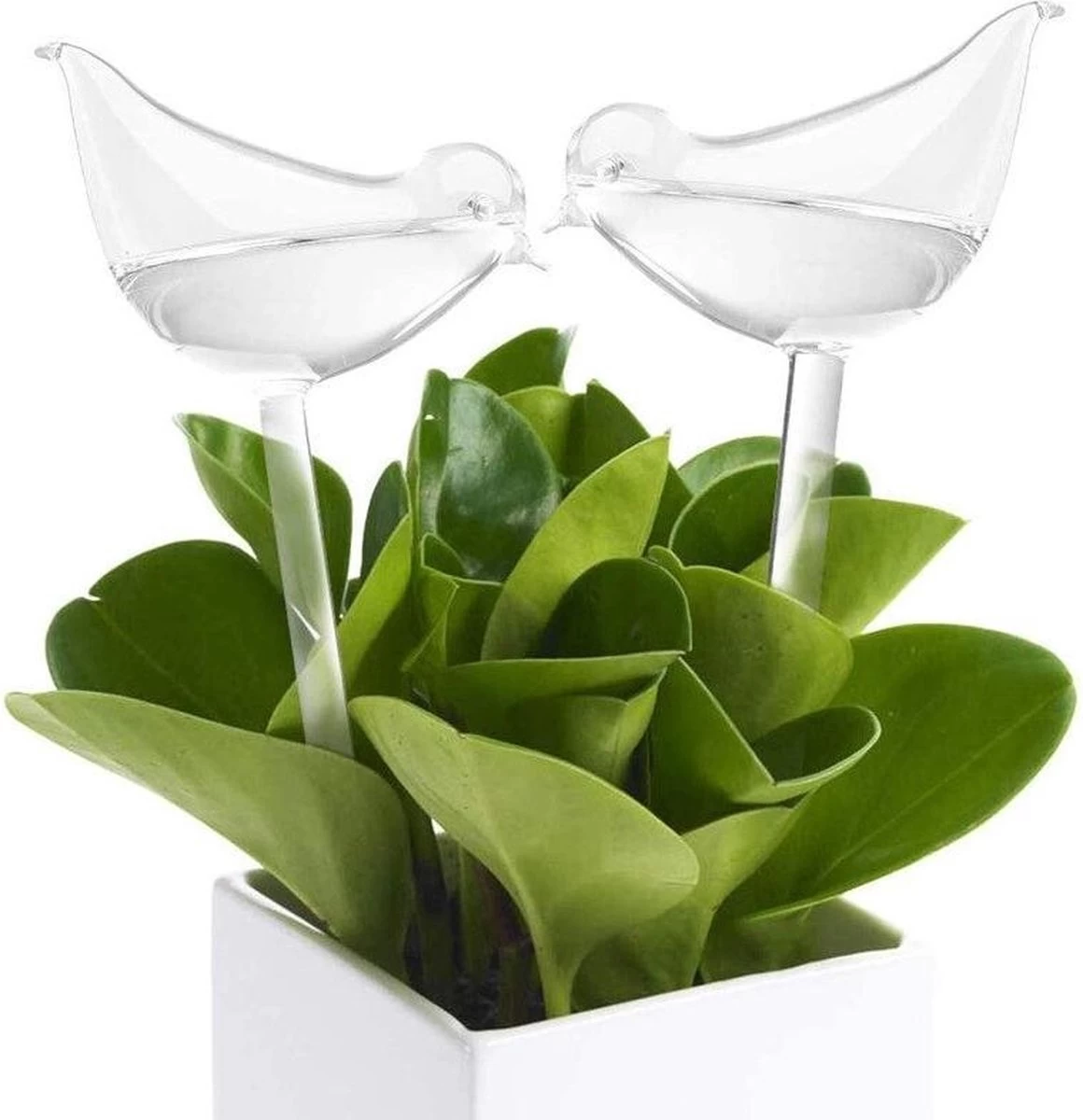 Luxe Planten Waterdruppelaar - Waterbol Vogel - Watergever - Watergeefsysteem Voor Planten & Bloemen - 200ML - Set Van 2 - Image 3