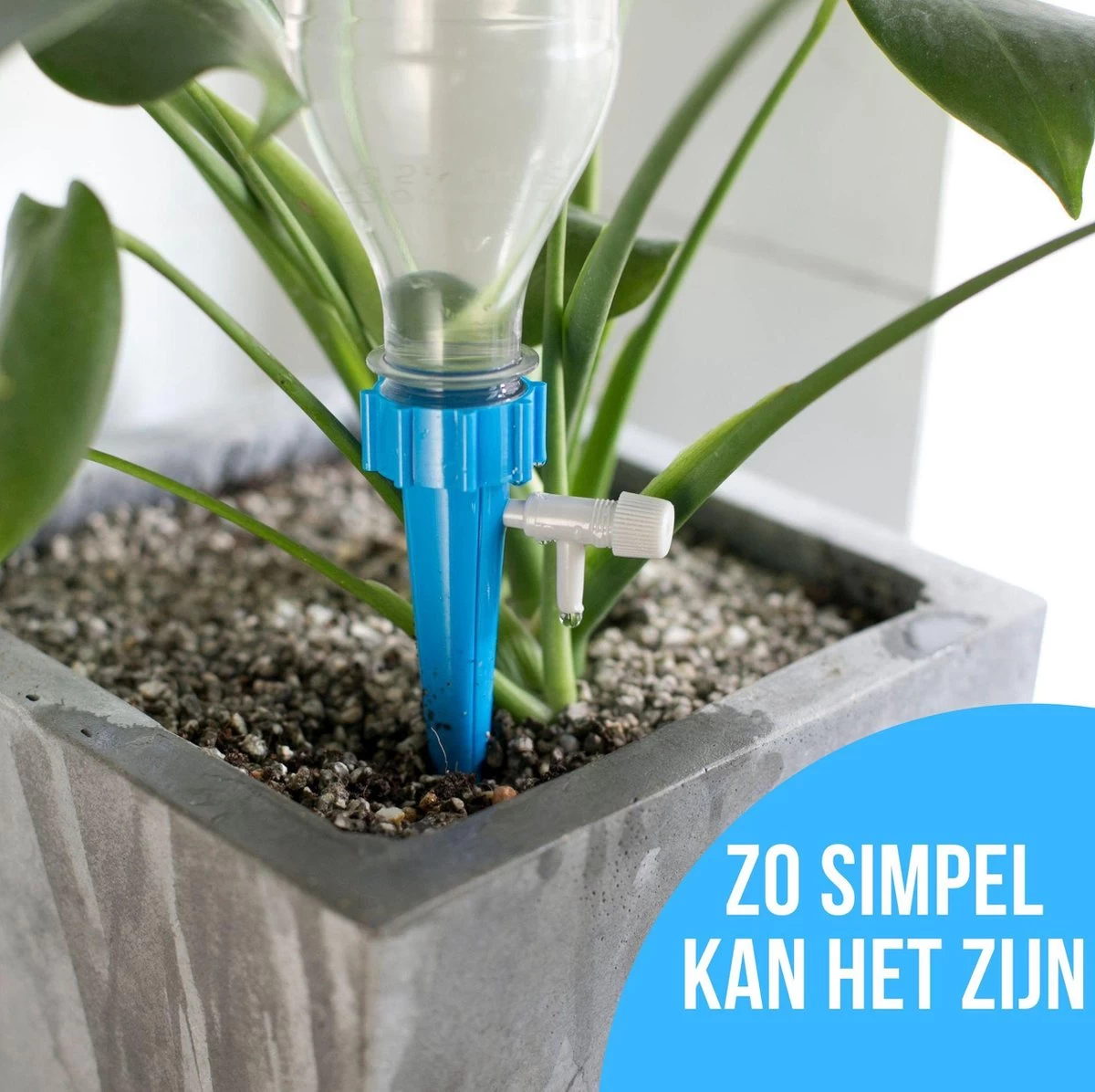 12 Stuks Plant Bewateringssysteem | Waterdruppelaar | Druppelsysteem |Bewateringssysteem | Bewateringsyteem Watergeefsysteem | Plantenbol | Automatische Gieter | Water Druppelaar | Druppel Systeem | Water Geef Systeem | Plantenbol | - Image 12