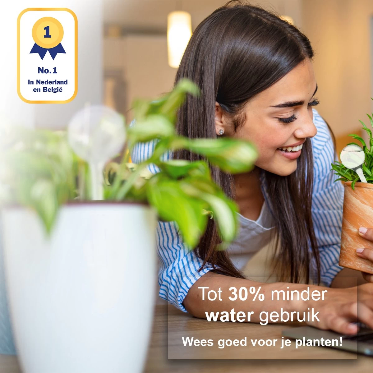 Waterdruppelaar Set Van 12 Stuks - Waterdruppelaar Voor Planten - Watergeefsysteem - Waterbol Irrigatiesysteem - Automatisch Druppelsysteem Voor Kamerplanten & Tuin - Watergever - Transparant - 15cm - Image 2