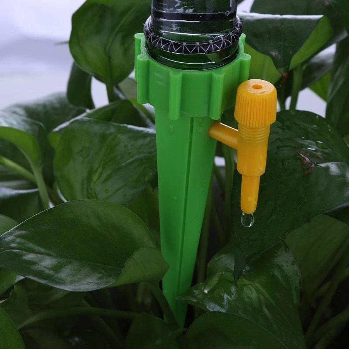 12 Stuks Plant Bewateringssysteem | Waterdruppelaar | Druppelsysteem |Bewateringssysteem | Bewateringsyteem Watergeefsysteem | Plantenbol | Automatische Gieter | Water Druppelaar | Druppel Systeem | Water Geef Systeem | Plantenbol | - Image 6