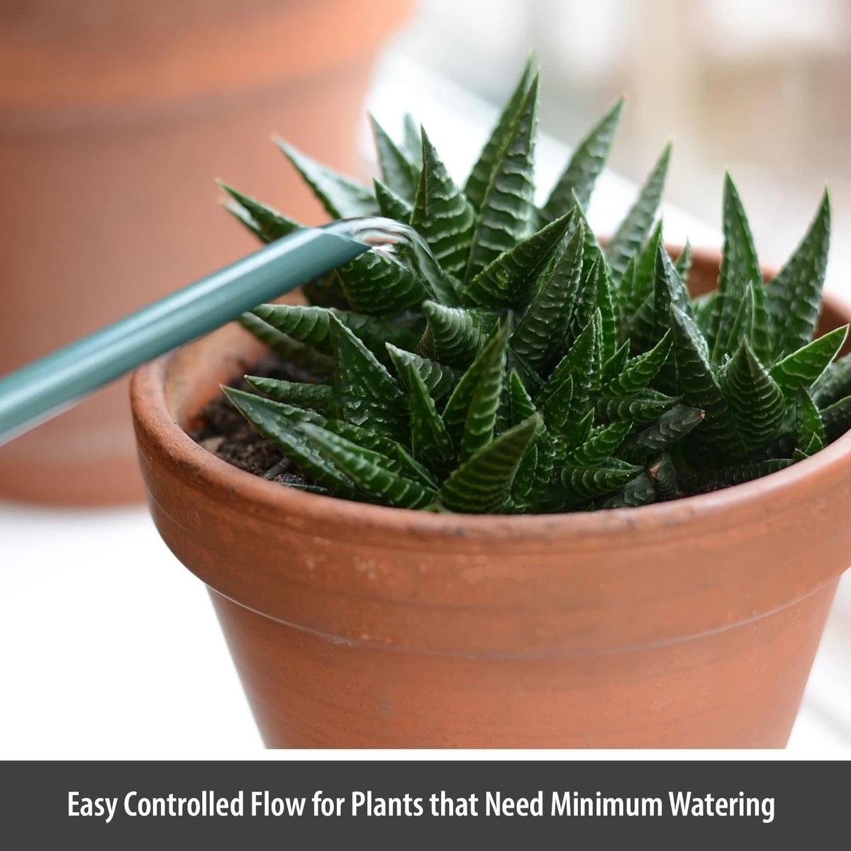 CKB LTD - Gieters - Gieter - Retro - Gietertje - Kleine Gieter Voor Binnen En Buiten - 1 Liter - Groen Plantengieter Tuingieter Bloemengieter Mini Klein Metaal Binnenplantjes Gietertjes Tuingieters Vintage Kamerplanten Buitengieter Binnenshuis - Image 2