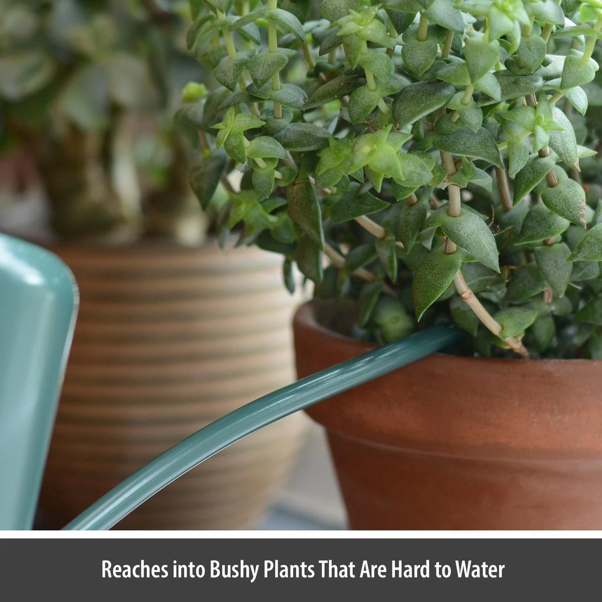 CKB LTD - Gieters - Gieter - Retro - Gietertje - Kleine Gieter Voor Binnen En Buiten - 1 Liter - Groen Plantengieter Tuingieter Bloemengieter Mini Klein Metaal Binnenplantjes Gietertjes Tuingieters Vintage Kamerplanten Buitengieter Binnenshuis - Image 6