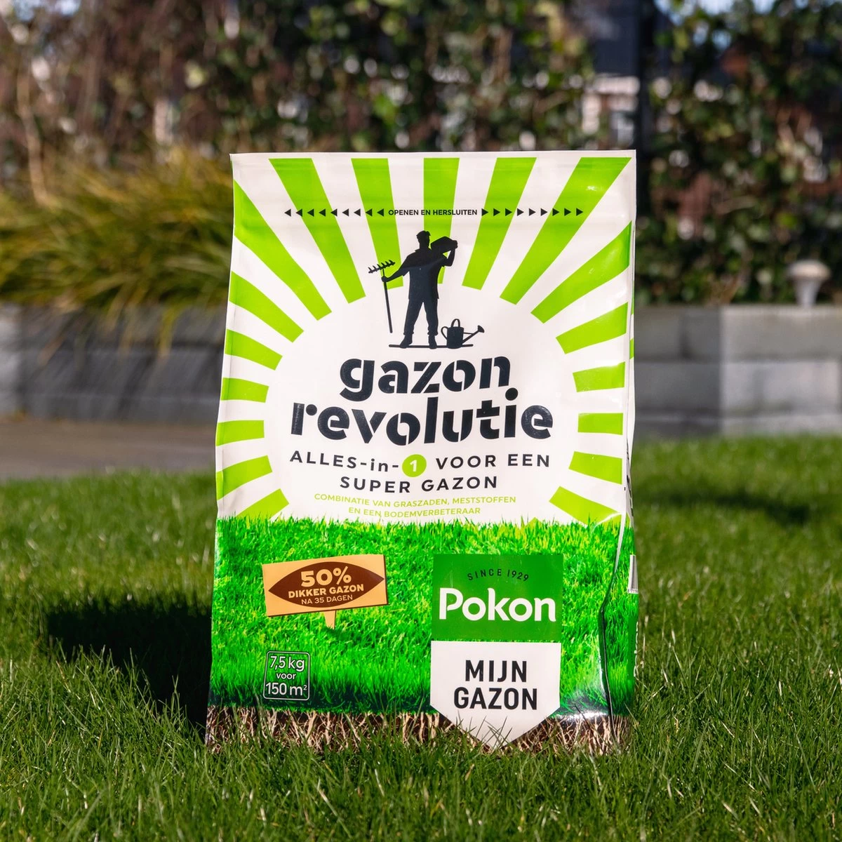 Pokon Gazon Revolutie - 7,5kg - Gazonmest / Graszaad / Bodemverbeteraar - Geschikt Voor 150m² - Binnen 15 Dagen Resultaat - Image 3