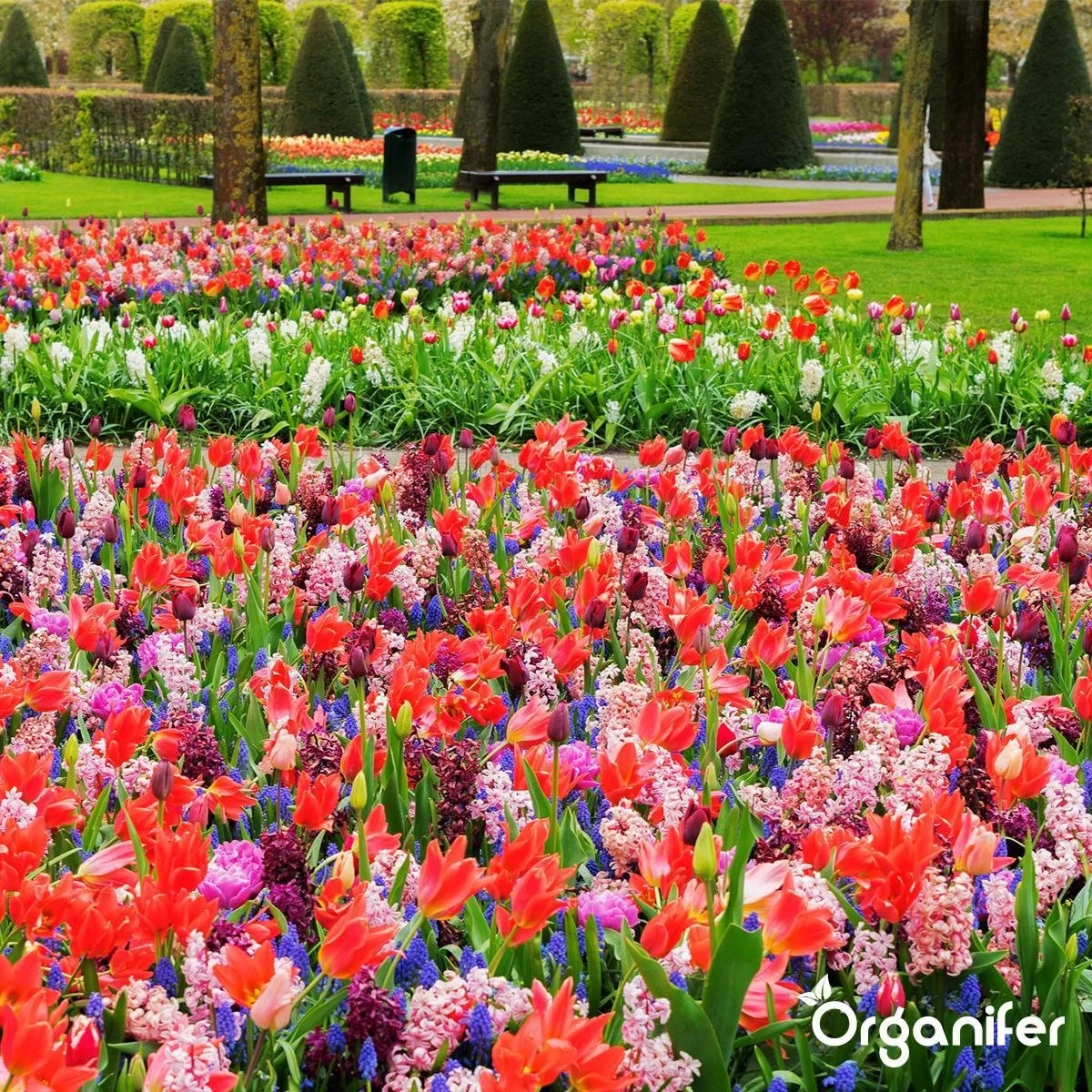 Lavameel Uit Eifel Oergesteente (20Kg Voor 200m2) Organifer - Image 8