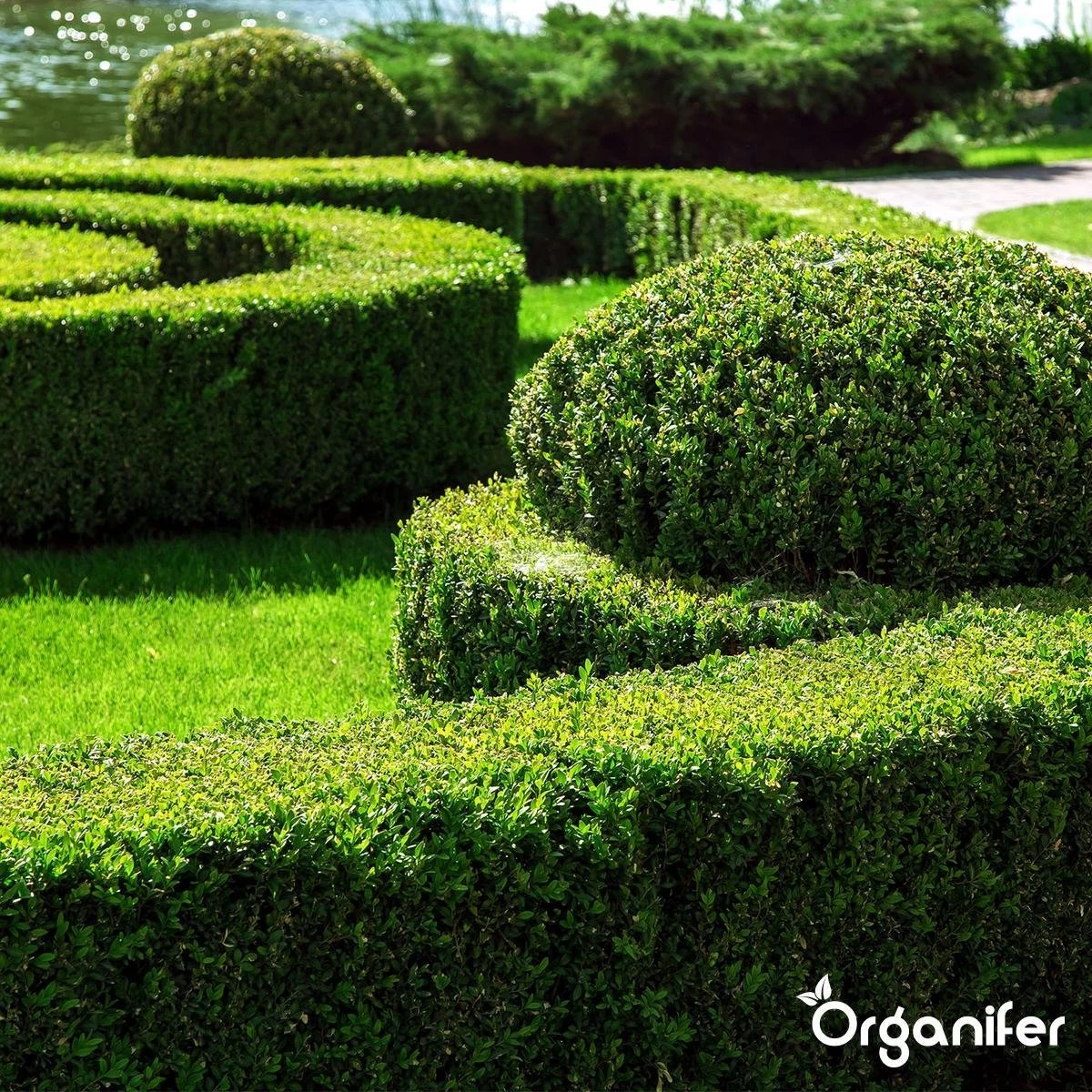 Lavameel Uit Eifel Oergesteente (20Kg Voor 200m2) Organifer - Image 11