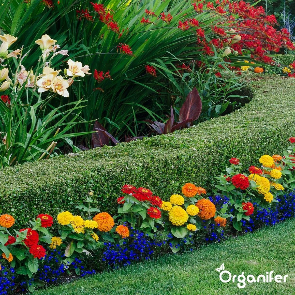 Lavameel Uit Eifel Oergesteente (20Kg Voor 200m2) Organifer - Image 12