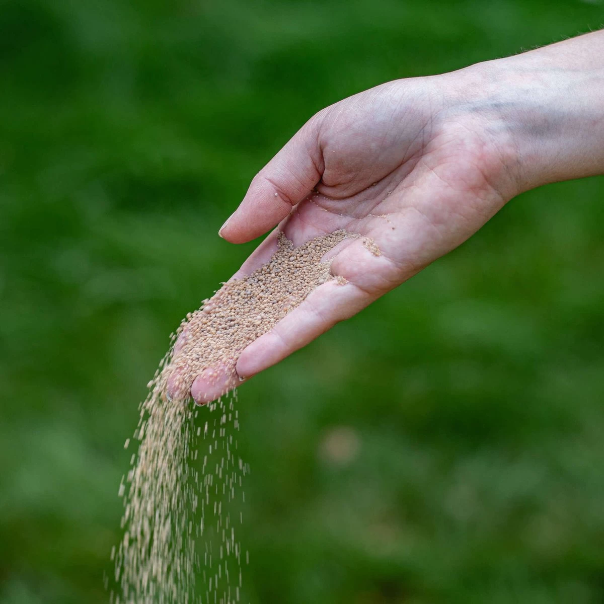 ECOstyle AZ Kalk Micro Korrel – Voor Gazon, Sier- En Moestuin - Corrigeert Zuurgraad Direct En Langdurig - Werkt Tegen Mos - CO2-Neutraal – 135 M² - 10 KG - Image 5