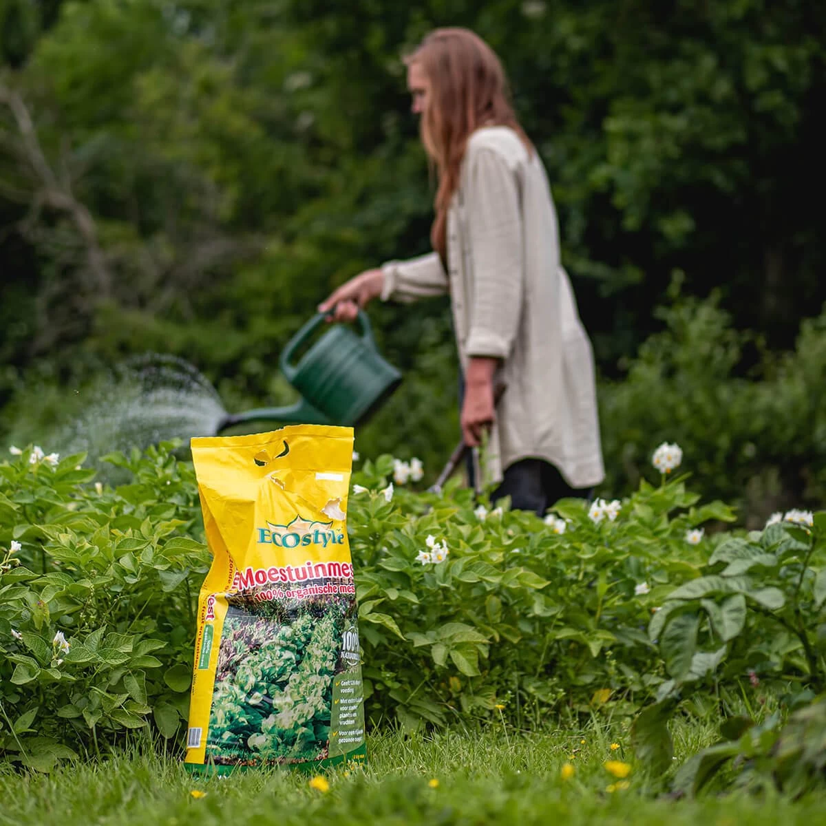 ECOStyle Moestuinmest Voor Eetbare Gewassen - Voor Fruit En Moestuin - Rijk Aan Kalium - 120 Dagen Voeding - 80 M² - 8 KG - Image 3