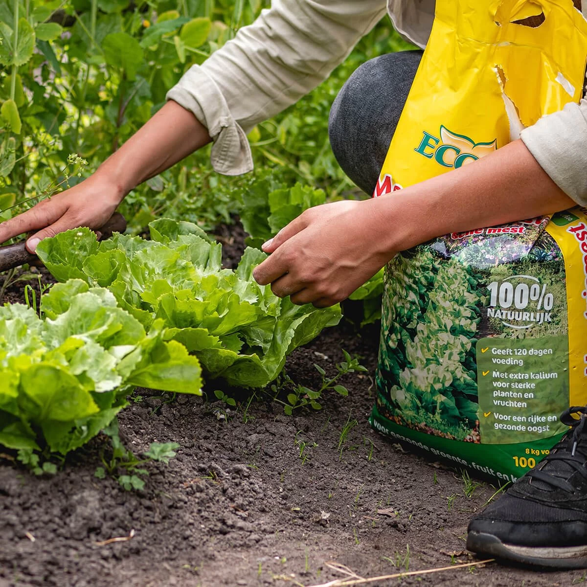 ECOStyle Moestuinmest Voor Eetbare Gewassen - Voor Fruit En Moestuin - Rijk Aan Kalium - 120 Dagen Voeding - 80 M² - 8 KG - Image 4