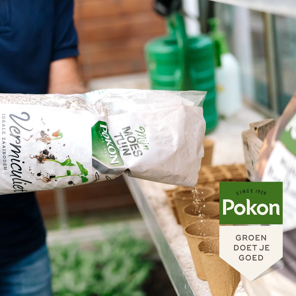 Pokon Bio Vermiculiet - 6l - 100% Natuurlijk - Ideale Zaaibodem - Afbeelding 4