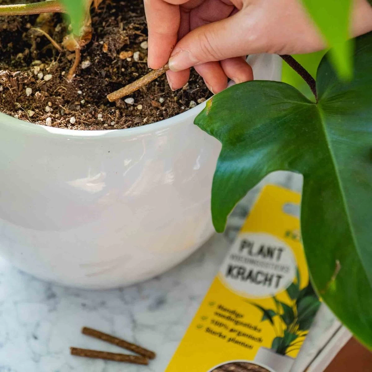 ECOstyle PlantKracht Voedingssticks - Sterke En Weerbare Potplanten - 100% Organische Planten - 120 Dagen Voeding - 30 Stuks - Image 2