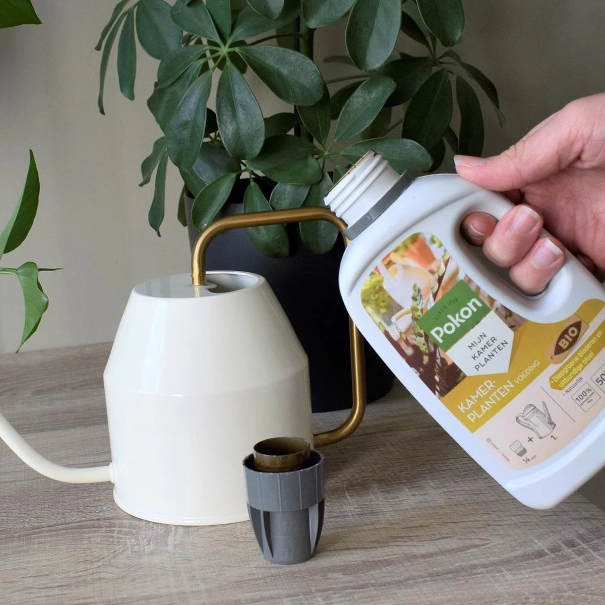 Pokon Bio Kamerplanten Voeding - 500ml - Plantenvoeding (bio) - 7ml Per 1L Water - Image 6