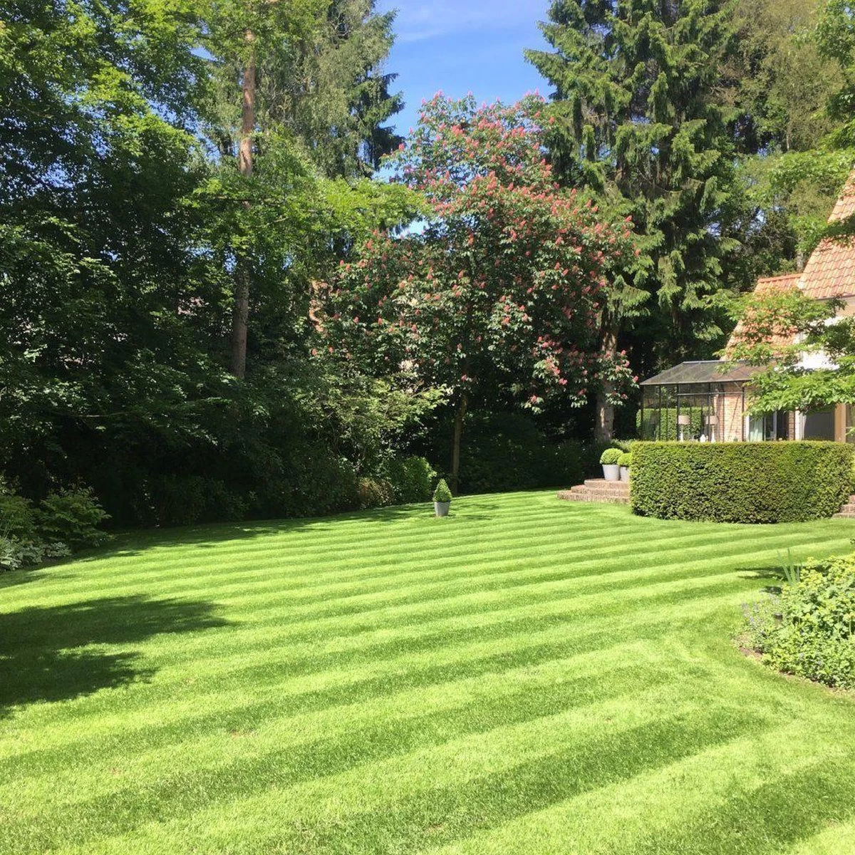 Gazonmest Met Ijzersulfaat Voor 100m²Gras | Gazon Meststof Met Ijzer | Mos Bestrijding & Gras Bemesting In Één | Ideaal Voor Meststofstrooier | Gazonbemesting - Image 4