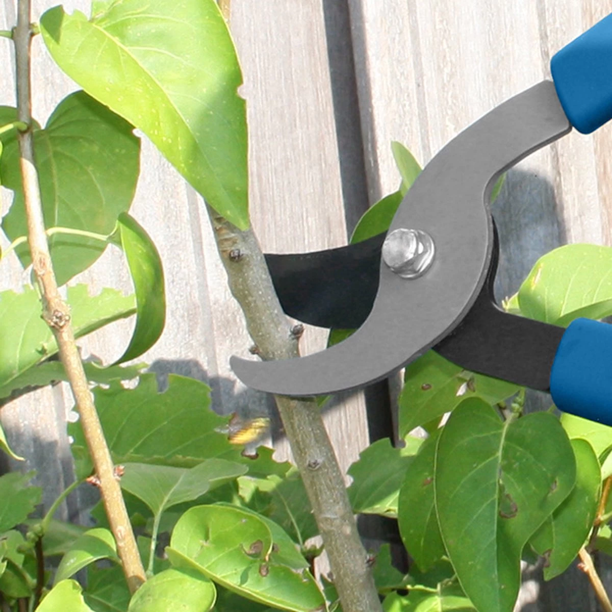 Hyundai Snoeiset 3-delig - Snoeischaar - Takkenschaar - Heggenschaar - Image 2