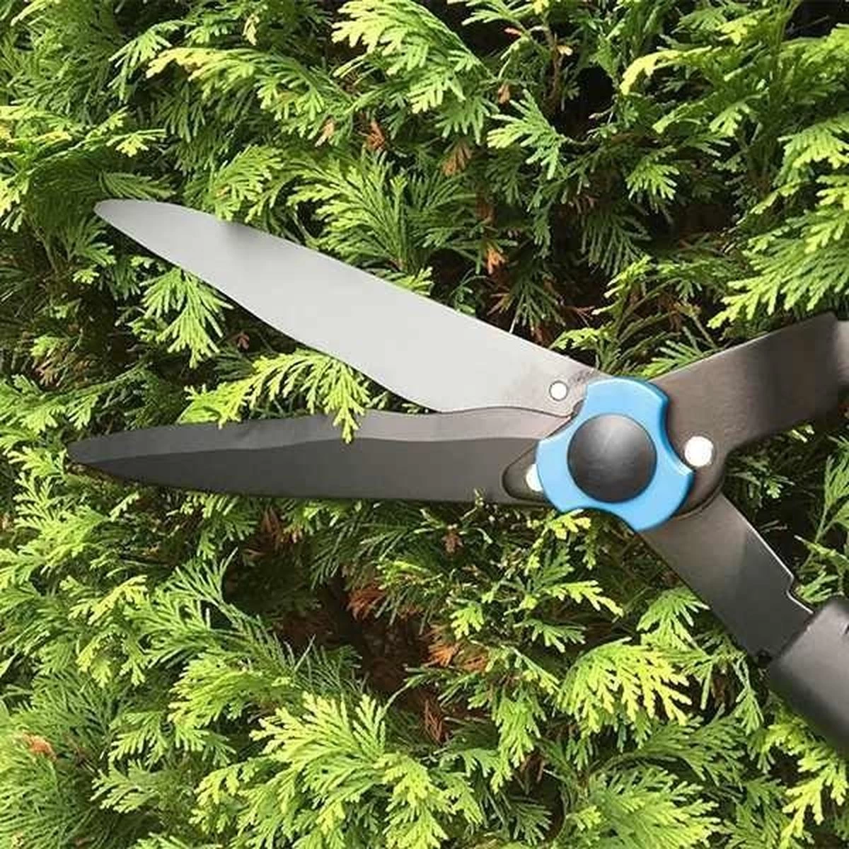 Hyundai Snoeiset 3-delig - Snoeischaar - Takkenschaar - Heggenschaar - Image 10