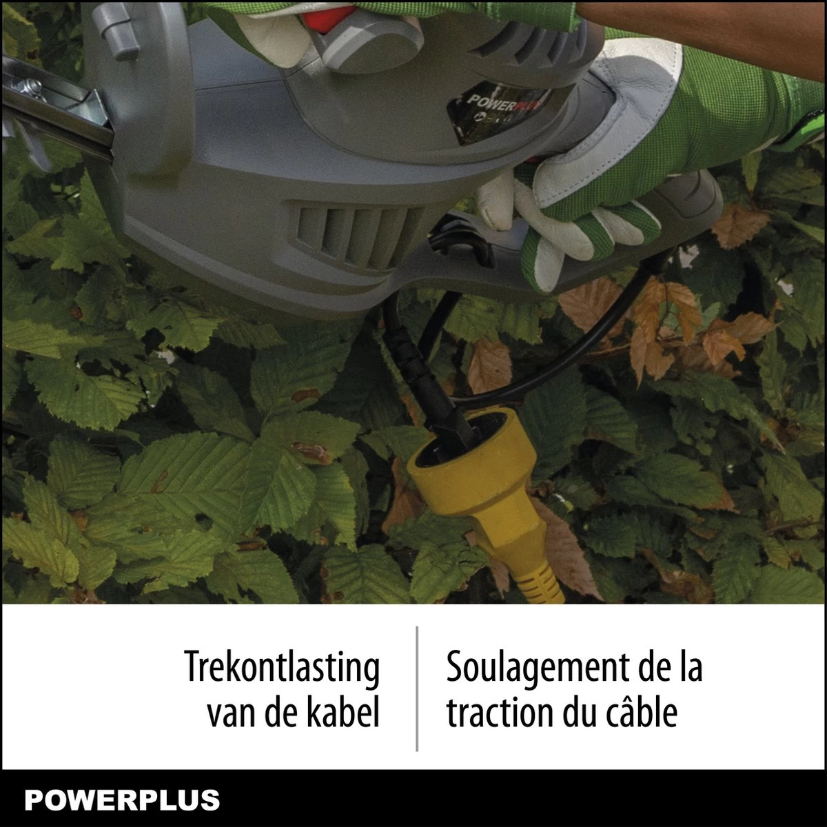 Powerplus POWEG40100 Elektrische Heggenschaar - 550W - Snoeien En Knippen - Zwaardlengte 560mm - Mesafstand 16mm - Haagschaar Voor Tuinonderhoud - Image 4