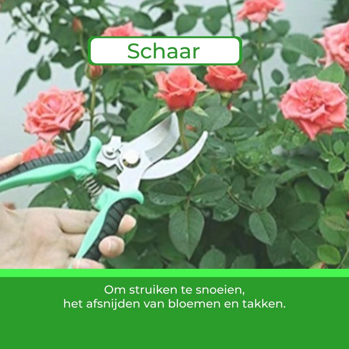 Djambo Tuingereedschap Set 8-delig Tuinsetje Met 15 Unieke Bamboe Plantetiketten In 1 Draagtas - Compleet Tuingereedschap Voor De Tuinliefhebbers - Image 9