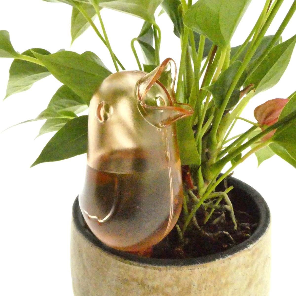 JS Drippy - Waterdruppelaars Set Van 2 Stuks - Druppelaar Vogel - Druppelsysteem Planten - Watergeefsysteem Kamerplanten - Waterbol - Roze - Image 3