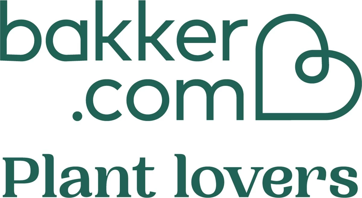 Pokon Stekpoeder - 25gr - Stimuleert Wortelvorming - Image 6