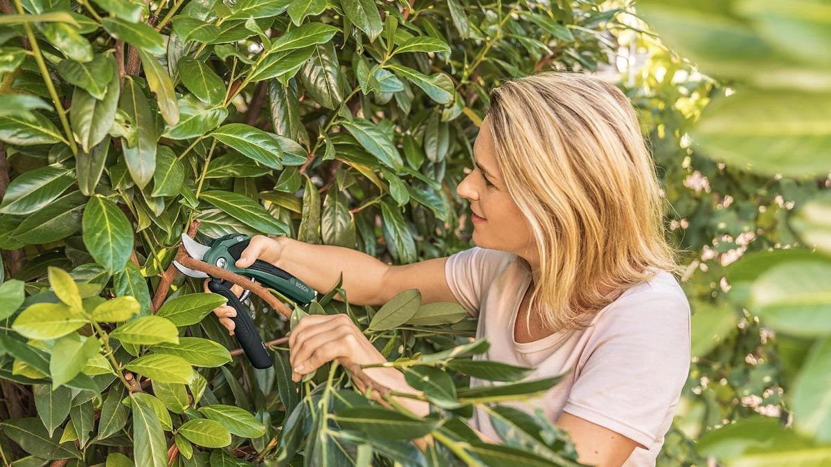 Bosch EasyPrune Accu Snoeischaar - 3.6 V Accu - USB - Image 7