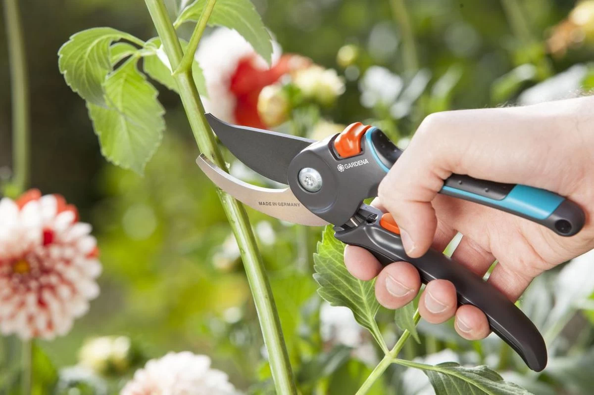 GARDENA Comfort B/M Bypass Snoeischaar - Ø 24mm - Met Sapgeul - Image 9