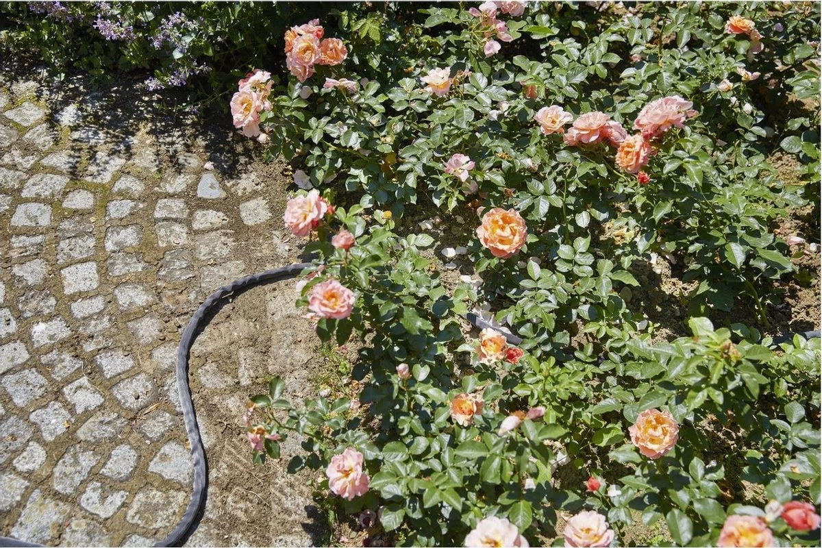 GARDENA Kraanverbindingsstuk Binnenshuis - Image 6