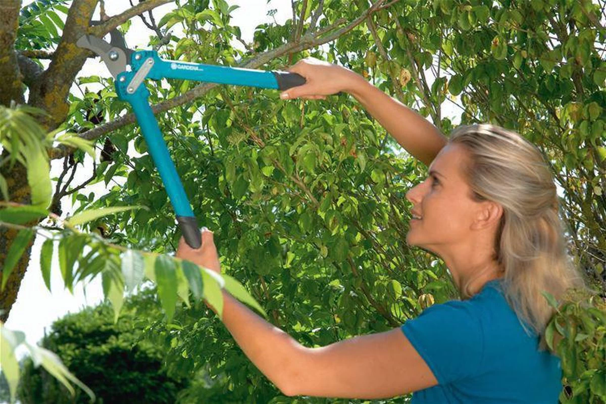 GARDENA Comfort 500 BL Takkenschaar - Max Knipdiameter 35 Mm - Image 7