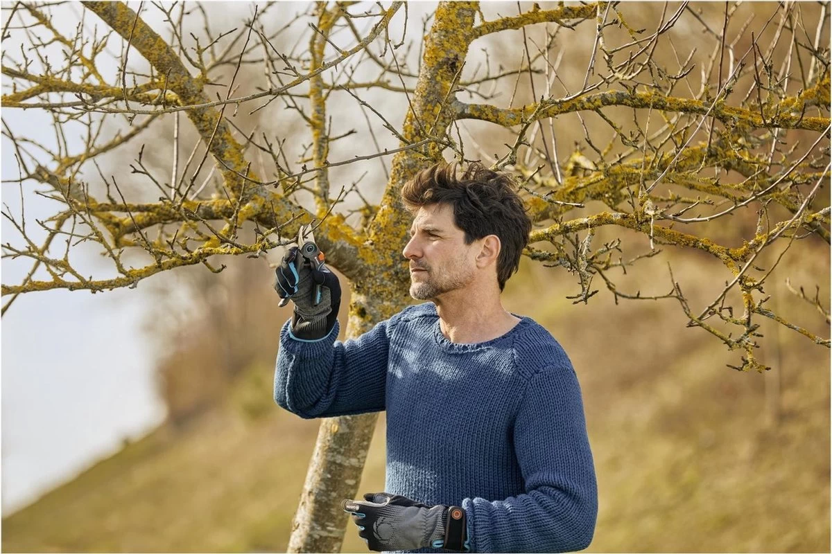 GARDENA - ExpertCut - Snoeischaar - 22 Diameter Tak - Image 11