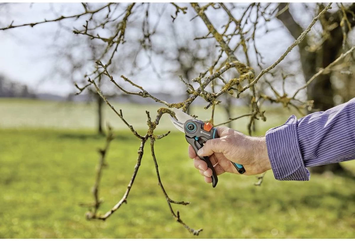 GARDENA - ExpertCut - Snoeischaar - 22 Diameter Tak - Image 16