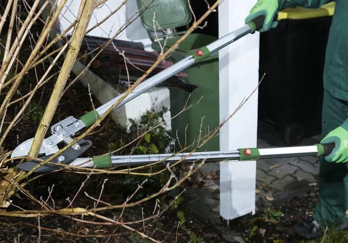 Telescopische Takkenschaar, 6-voudig - Image 2