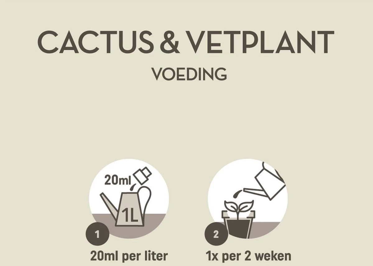 Pokon Cactus & Vetplant Voeding - 250ml - Plantenvoeding - 20ml Per 1L Water - Image 3