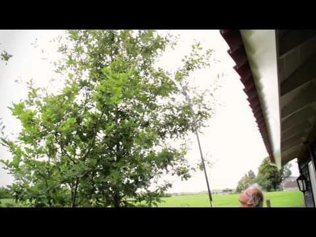 Hendrik Jan - Snoeizaag - Pistoolgreep - Gebogen - 30 Cm - Image 3