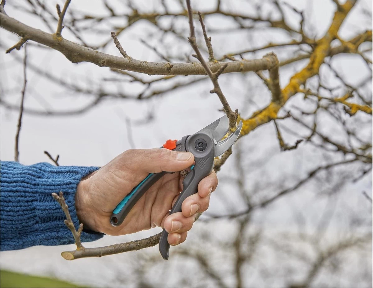 GARDENA - ExpertCut - Snoeischaar - 22 Diameter Tak - Image 3