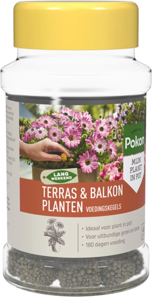 Pokon Voedingskegels Voor Terras- & Balkonplanten - 40 Stuks - 180 Dagen Voeding - Plantenvoeding - Image 6