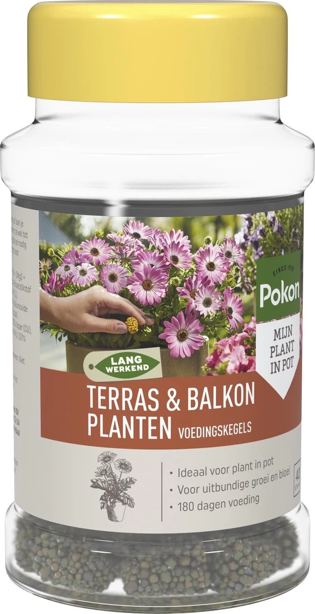 Pokon Voedingskegels Voor Terras- & Balkonplanten - 40 Stuks - 180 Dagen Voeding - Plantenvoeding - Image 2