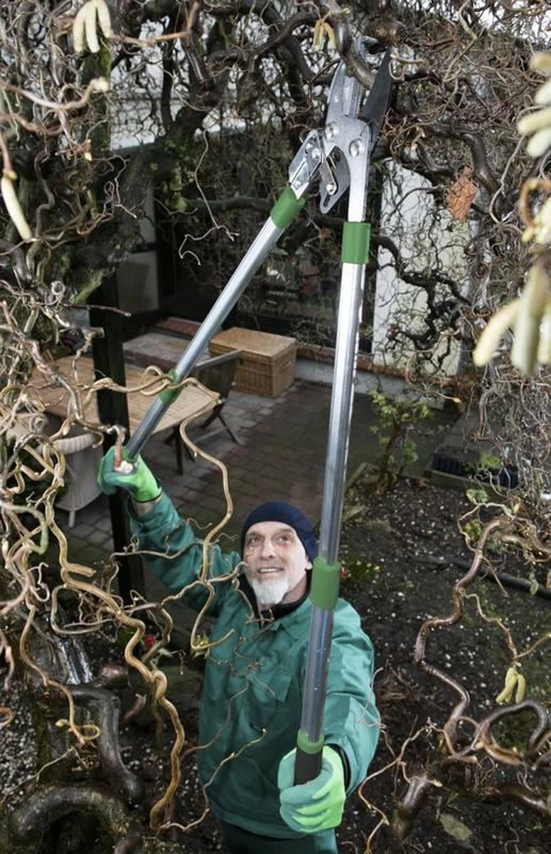 Telescopische Takkenschaar, 6-voudig - Image 3