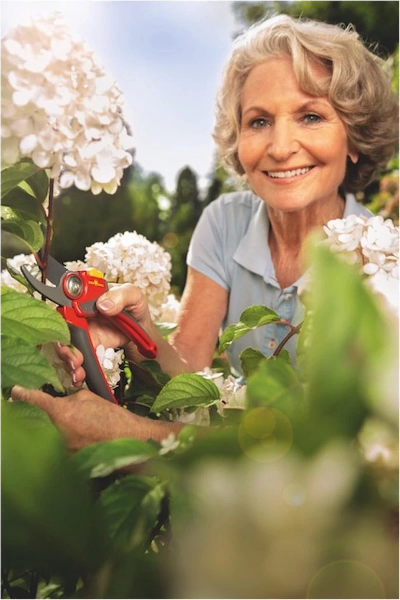 WOLF-Garten Snoeischaar "Premium Plus" RR 4000 - Max. Knipdiameter 22 Mm - Links- En Rechtshandige - Softinleg Handgreep - Snijhoek 30° - Voor Grote Handen - Vervangbare Messen - Image 8