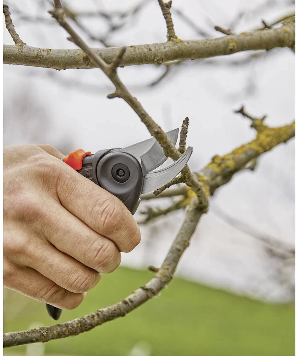 GARDENA - ExpertCut - Snoeischaar - 22 Diameter Tak - Image 17